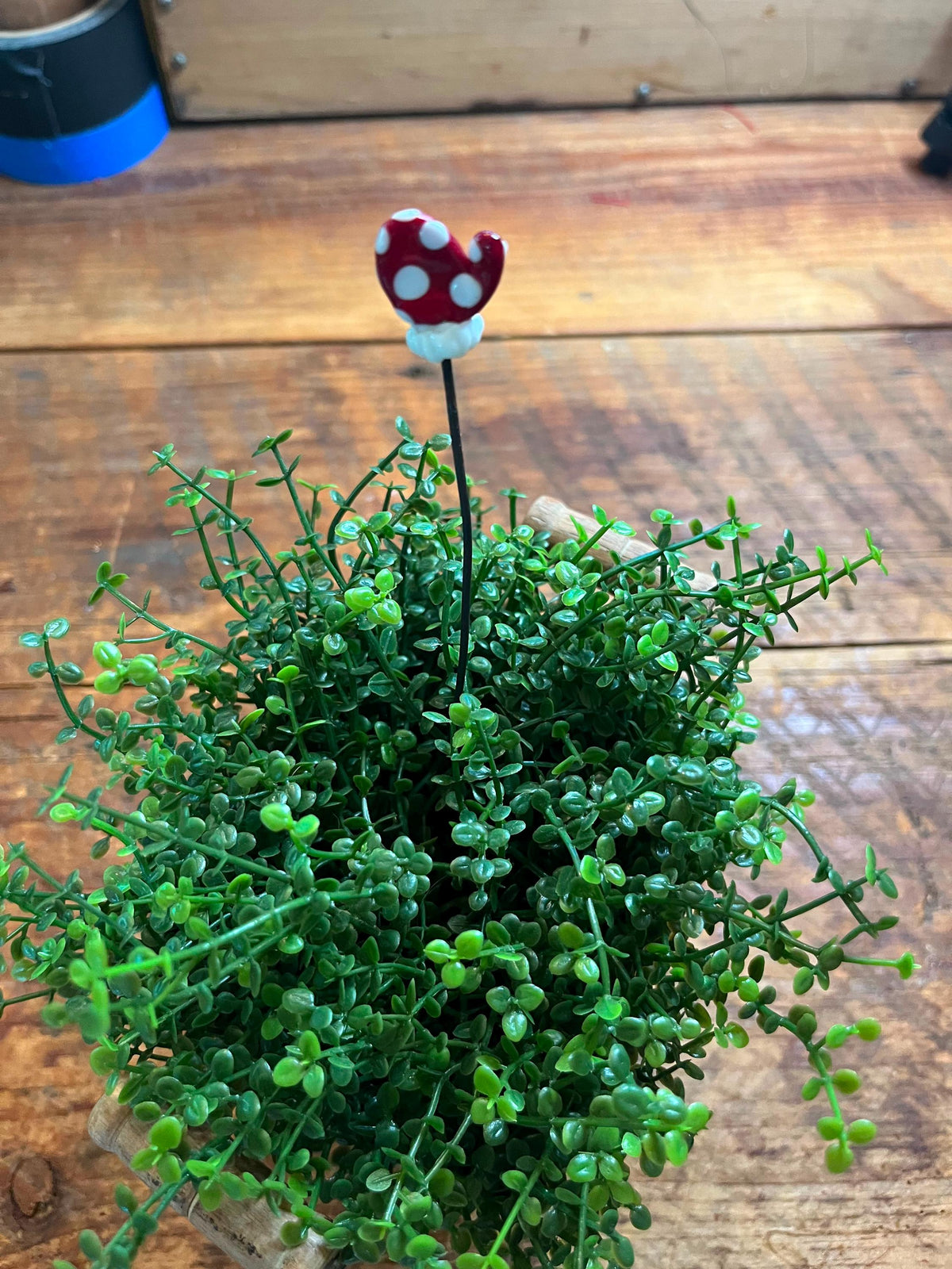 Red Christmas Lampwork Glass Plant Sticks