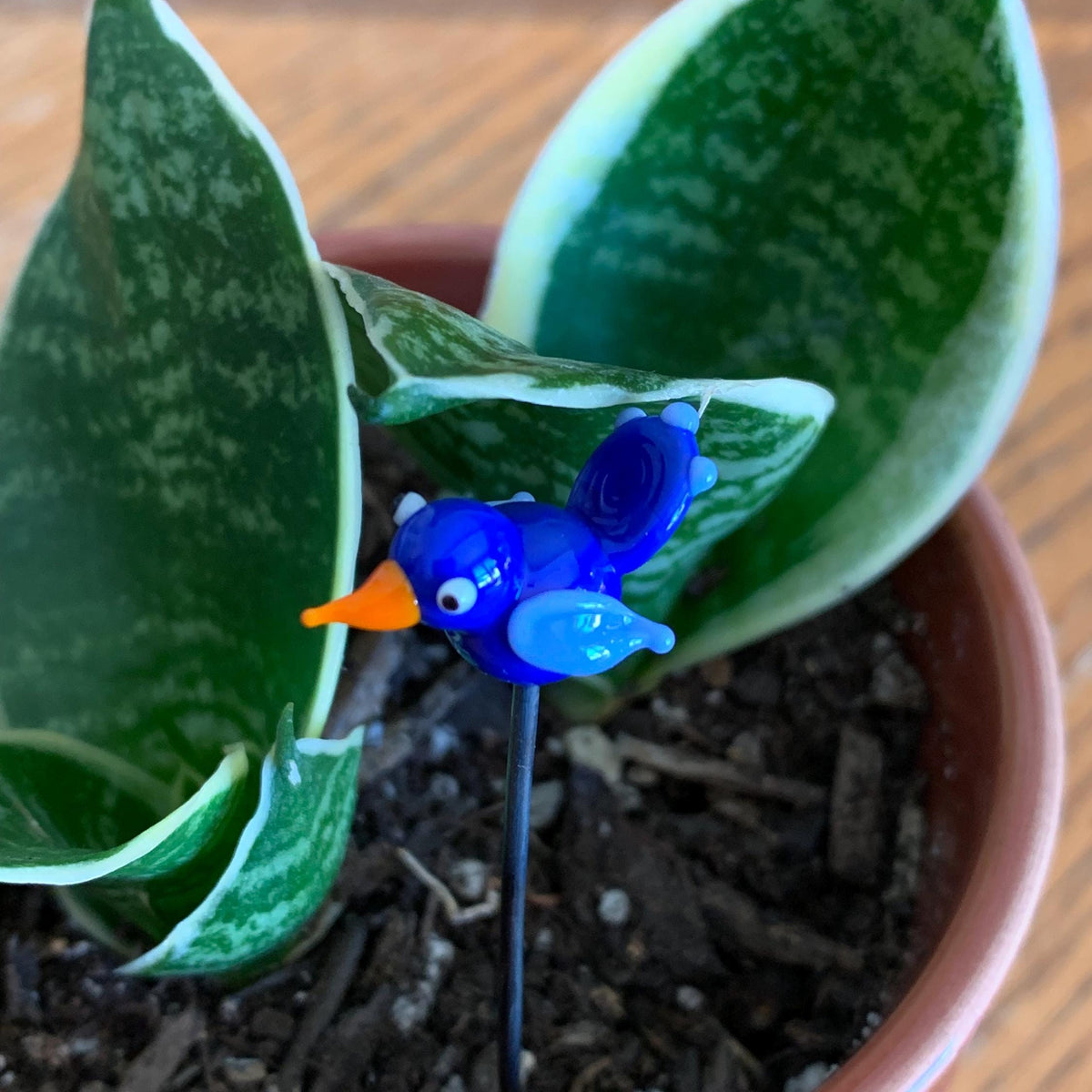 A small blue bird garden stake with an orange beak, inserted into the soil of a potted snake plant on a wooden surface.