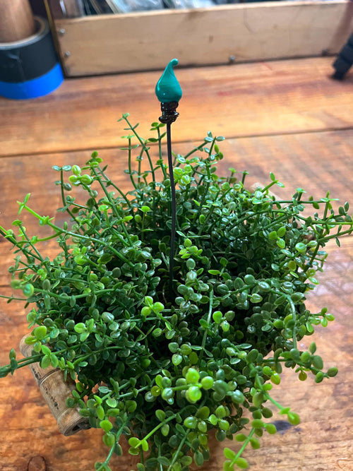 Christmas Light Lampwork Glass Plant Sticks