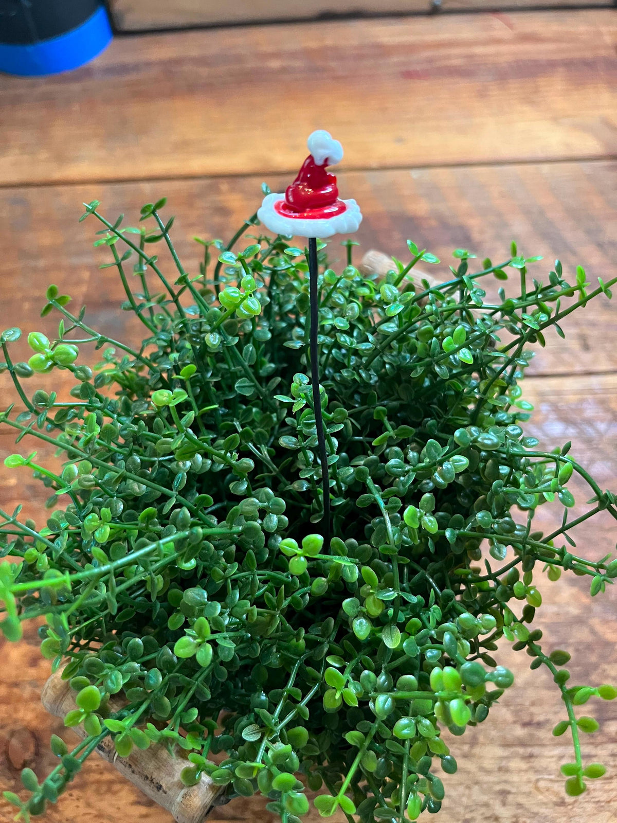 Red Christmas Lampwork Glass Plant Sticks