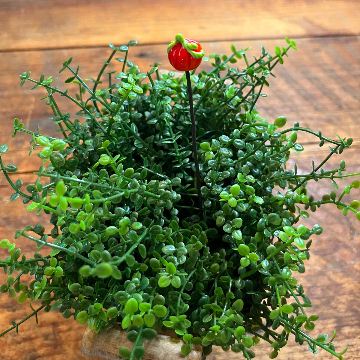 An artificial green leafy plant arrangement in a small square pot, featuring a single small red berry-like accent on a thin stem, set on a wooden tabletop.