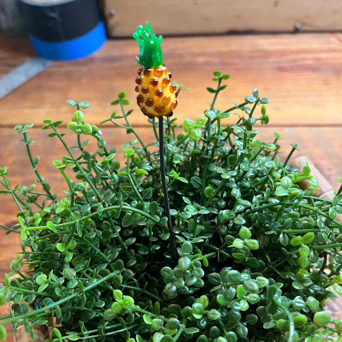A small decorative pineapple figurine with a green top and orange-yellow body, mounted on a black stake and placed among dense green succulent-like foliage on a wooden surface.