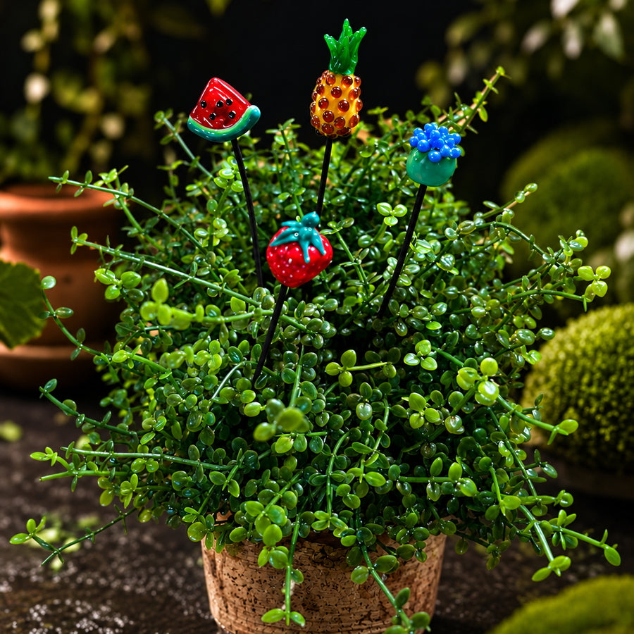 A set of five colorful plastic plant stakes shaped like a watermelon, pineapple, blue flower, red strawberry, and kiwi, shown inserted into a small potted green plant. The brand logo 'Plant Sticks Fruit Bundle' is visible in the top left corner.