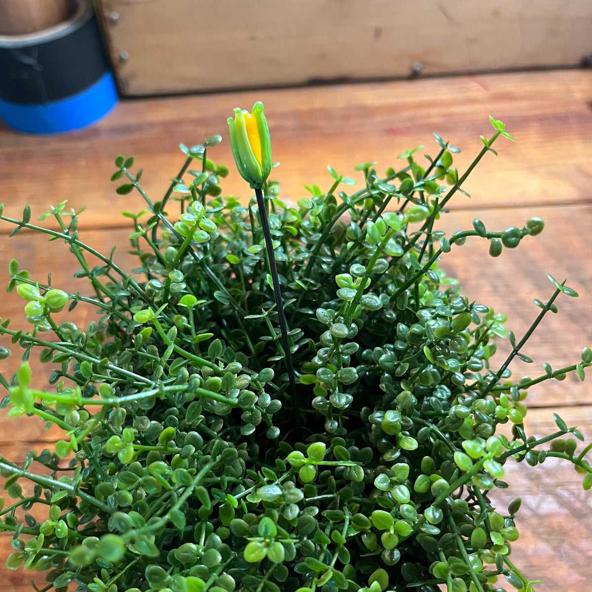 An artificial green leafy plant with a small yellow flower bud at the top, displayed in a rustic wooden pot on a wooden tabletop.
