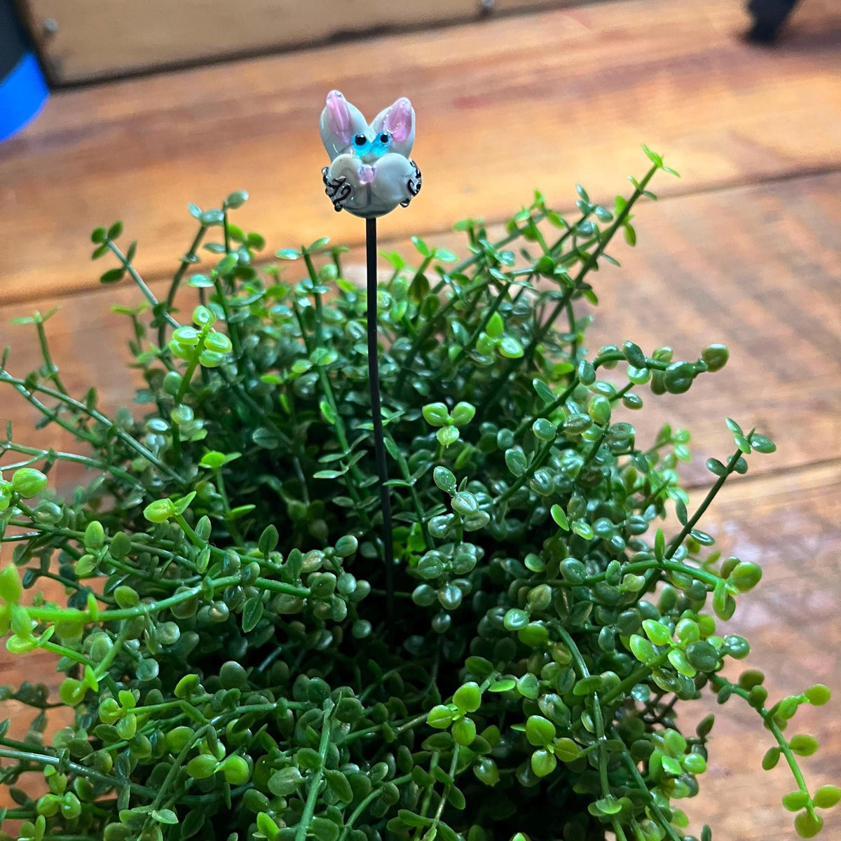 A small decorative bunny figurine on a black stake, placed among dense green trailing foliage on a wooden surface.