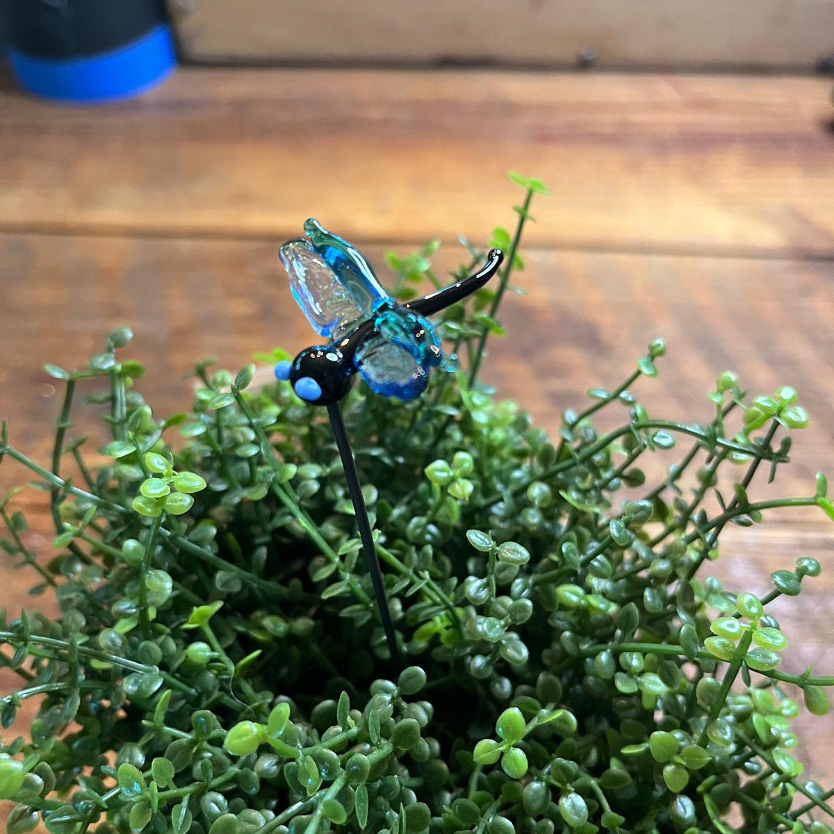 A small decorative dragonfly figurine with iridescent blue and green wings and a black body, perched on a black stake among dense green leafy stems on a wooden surface.