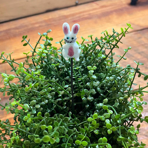 A small white bunny garden stake with pink inner ears and a pink belly, placed on top of dense green succulent foliage on a wooden surface.