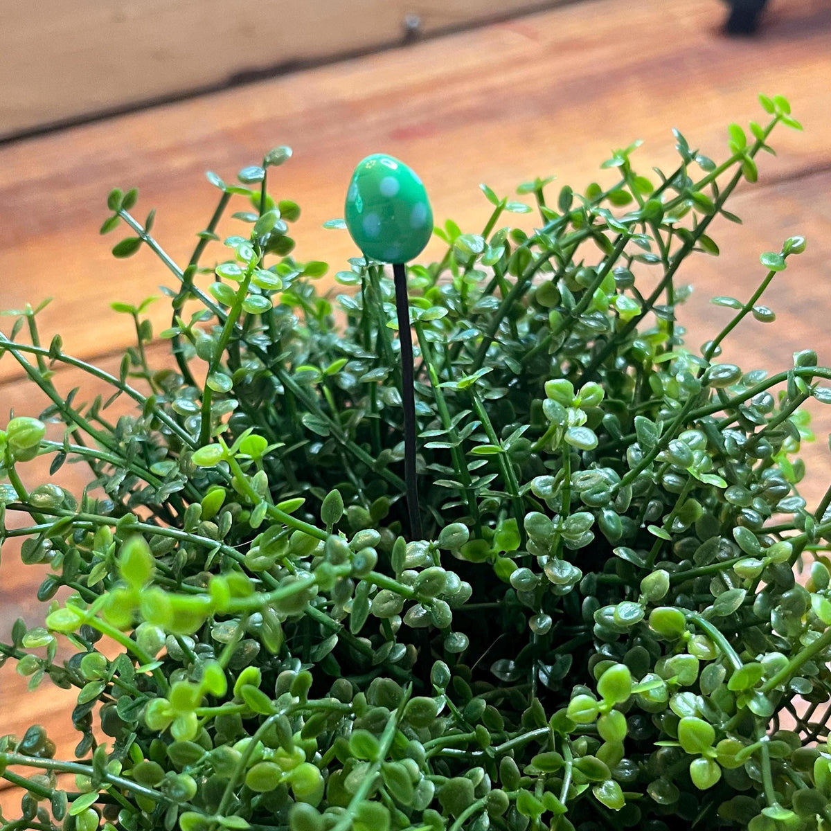 A dense green artificial boxwood or similar small-leafed plant in a wooden planter, with a small green egg-shaped decorative stake inserted near the top, photographed on a wooden surface.