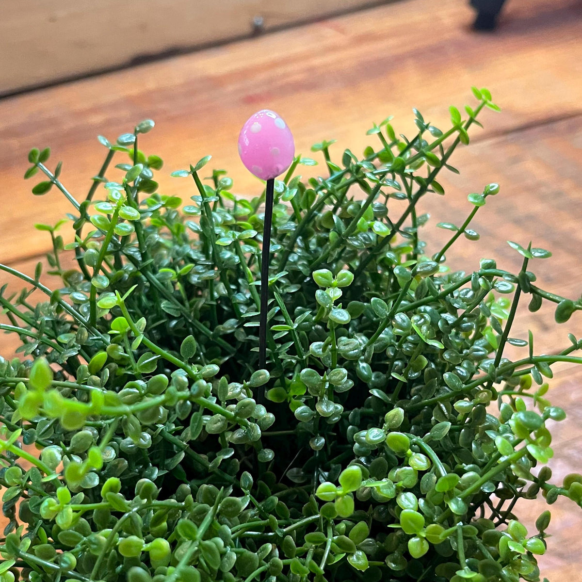 A potted artificial green succulent plant with a small pink flower stake in the center, set on a wooden surface.