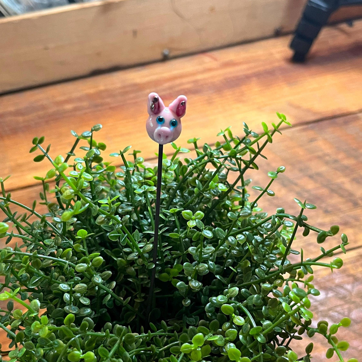 A small decorative pink bunny figurine on a thin black stake, placed among dense green trailing foliage on a wooden surface.