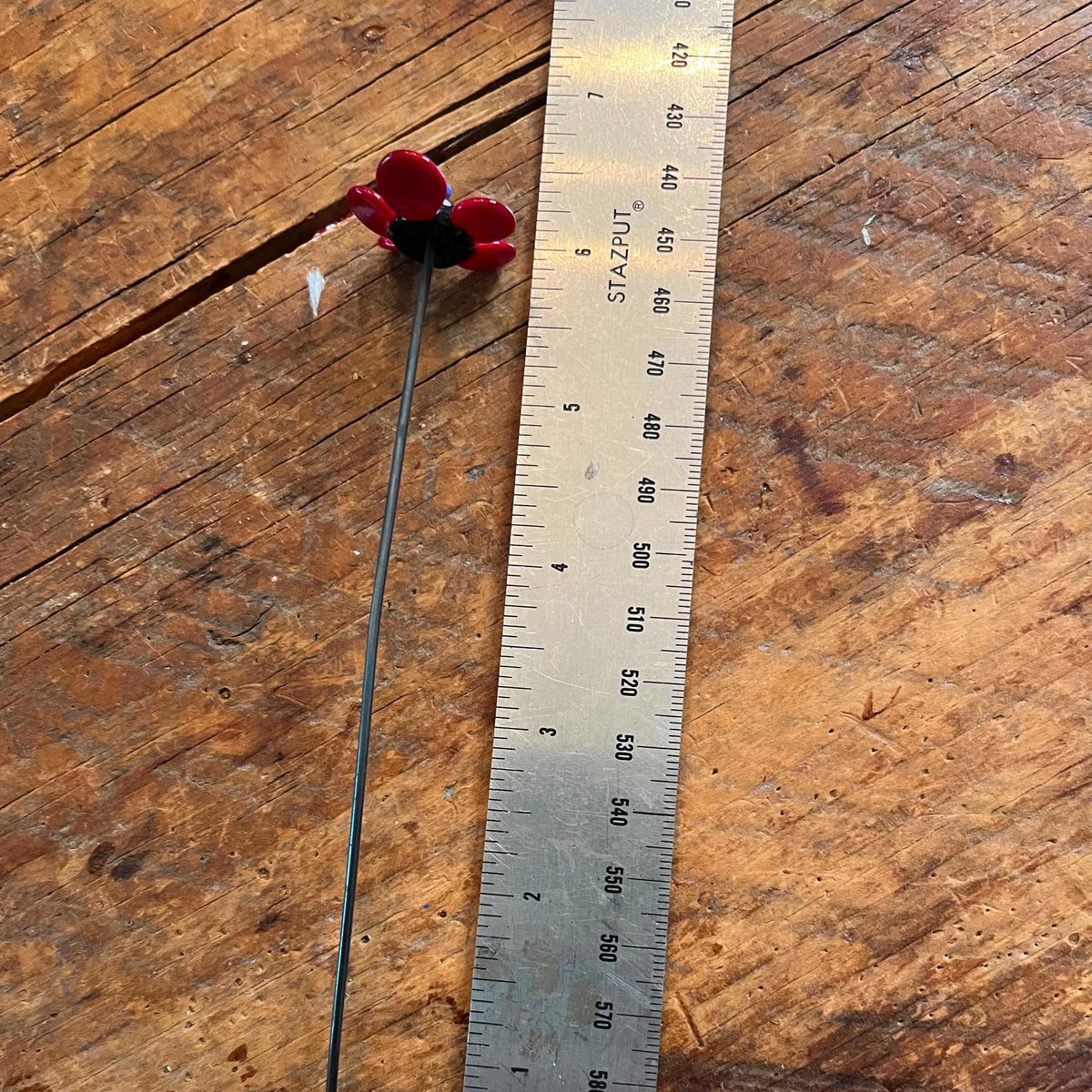 A single red flower with a long dark stem lies on a rustic wooden surface next to a metal ruler for scale.