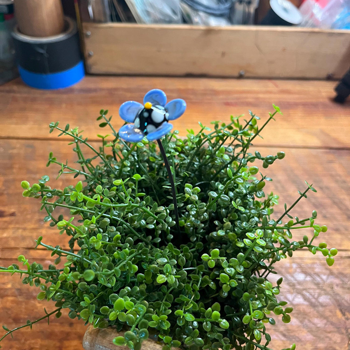 A small potted artificial green plant with delicate trailing stems and a single blue flower topped with a bee figurine, displayed on a wooden tabletop.