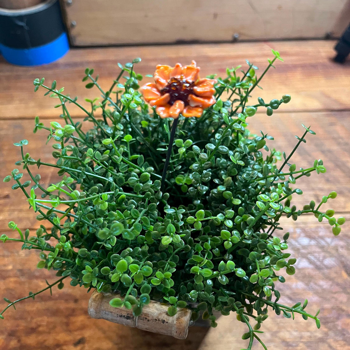 An artificial green leafy plant arrangement in a small rustic wooden pot, featuring a single orange flower with a dark center on a wooden tabletop.