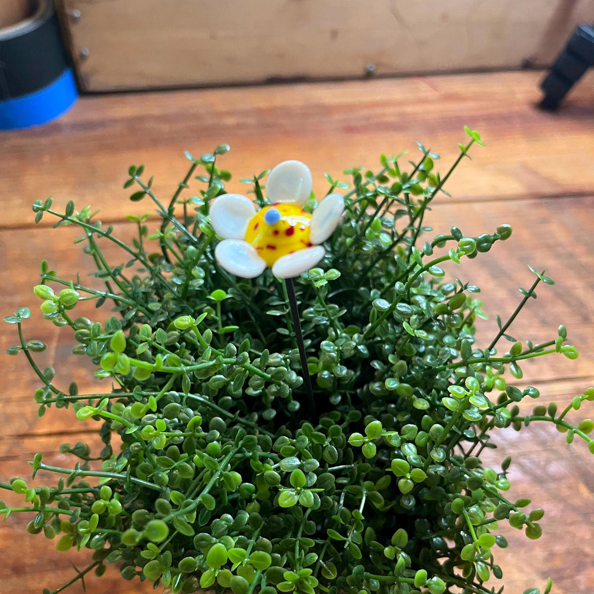 A small potted artificial green plant with dense trailing leaves and a decorative white flower with a yellow center, placed on a wooden tabletop.