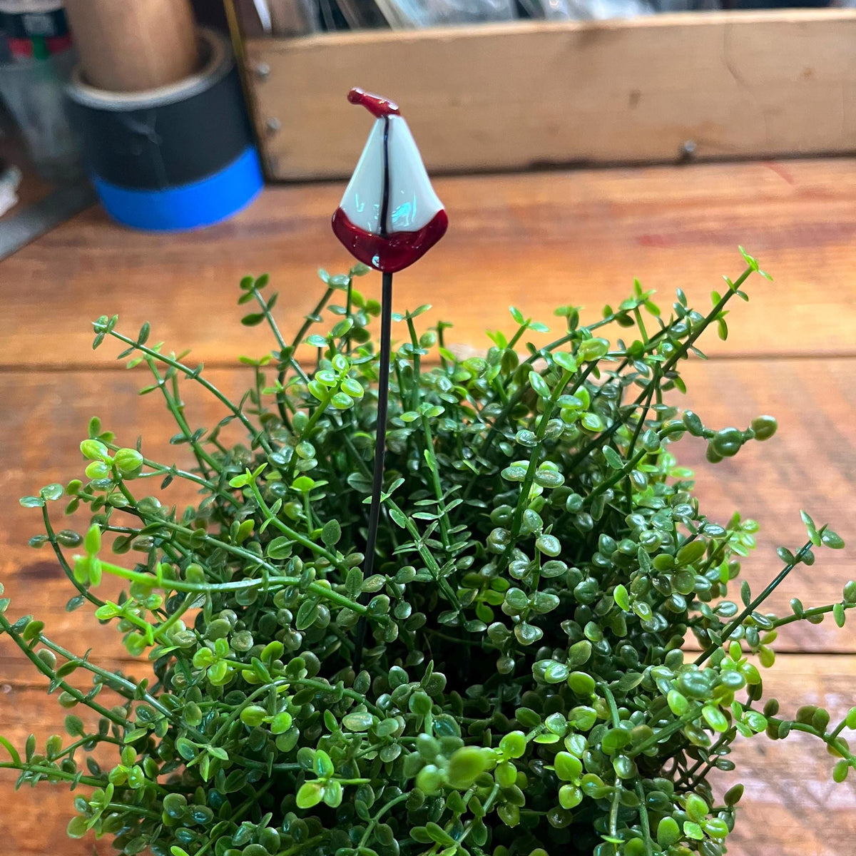 A small decorative garden stake with a miniature umbrella topper, planted in a dense green succulent or boxwood arrangement on a wooden tabletop.