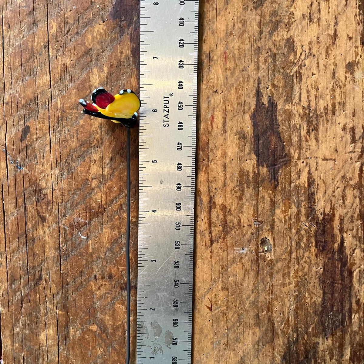 A small colorful object with a long thin dark stem lies on a rustic wooden surface next to a metal ruler for scale.