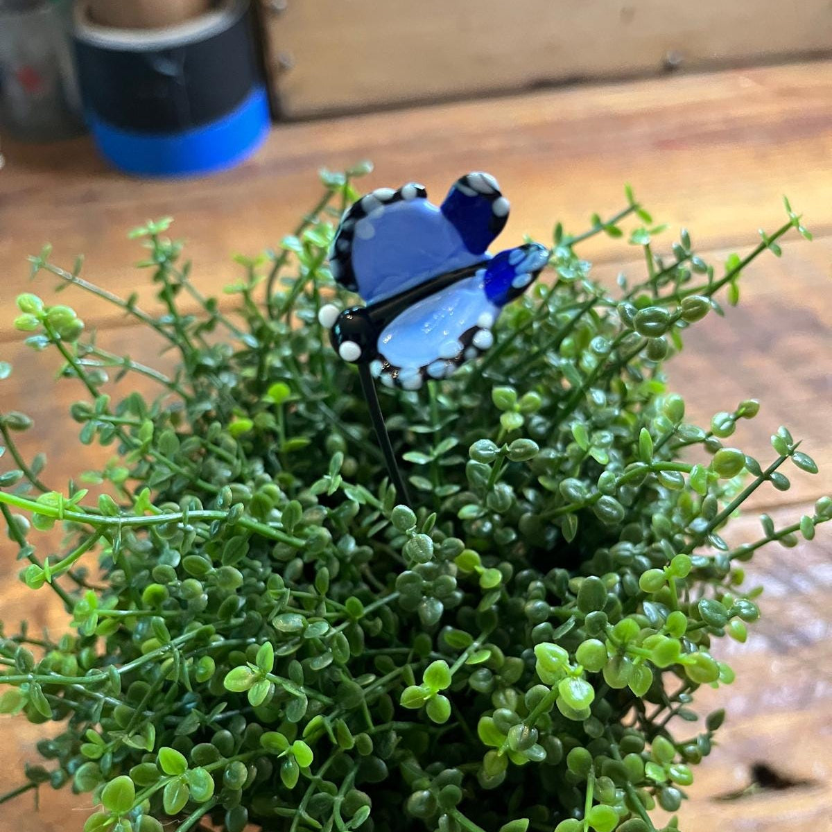 A small blue butterfly figurine with black and white details perched on a green leafy plant in a rustic wooden setting.
