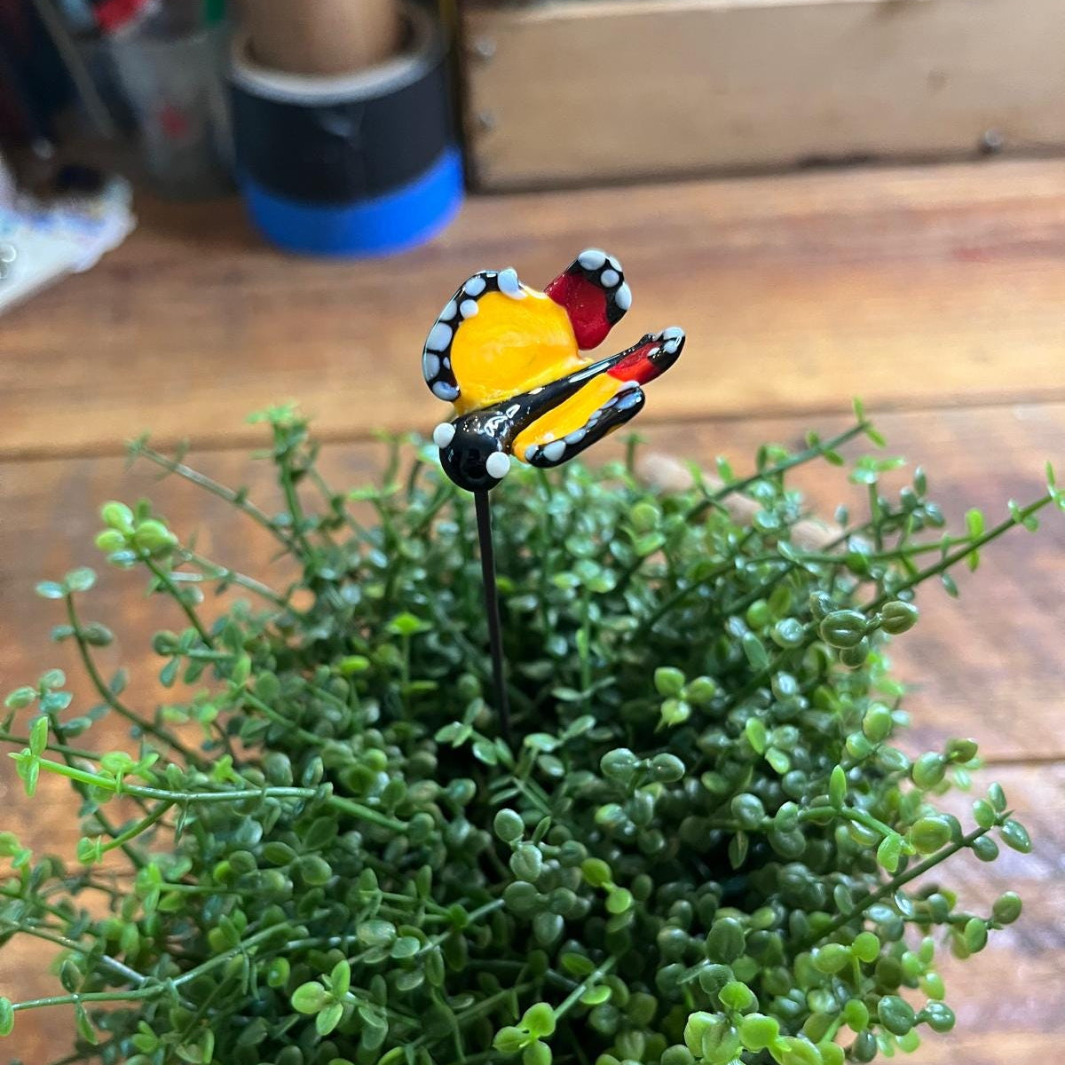 A colorful glass butterfly figurine perched on a black stake, displayed among green succulent leaves on a rustic wooden surface.